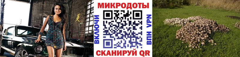 Галлюциногенные грибы мухоморы Павловская